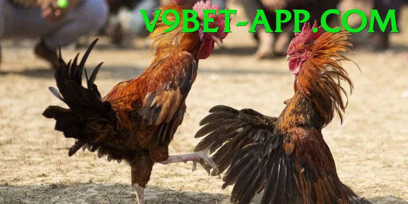 Trường Đấu Đá Gà Chuyên Nghiệp - Game MOBA