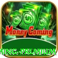 ppn7 Gaming Premium